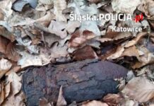 Mężczyzna spacerował po lesie w Katowicach. Znalazł pocisk
