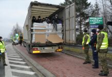 6 Afgańczyków na słonecznikach. Chcieli do Niemiec