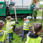 Drzewa z aplikacji po raz trzeci w Katowicach. Do końca kwietnia