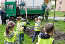 Drzewa z aplikacji po raz trzeci w Katowicach. Do końca kwietnia
