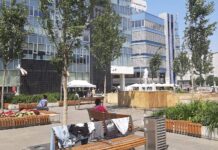 Rynek w Katowicach jak patelnia. Bo w Katowicach brakuje zieleni tam gdzie są mieszkańcy. Jak to wygląda w liczbach?