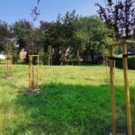 3 mln zł na zielony projekty w Katowicach. Wkrótce startuje kolejna edycja Zielonego Budżetu