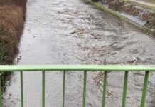 Przez Katowice przeszły największe deszcze od kilku miesięcy. Urządzenia pomiarowe ostrzegały. „System wszedł w tryb alarmowy”