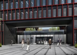 1500 drzew do wycinki? Radni w Katowicach obawiają się budowy nowej siedziby prokuratury