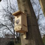 Mieszkańcy dostaną budki lęgowe dla ptaków. Muszą uzasadnić, gdzie je powieszą