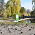 W Katowicach pojawią się „kaczkomaty”. „Obecnie trwają negocjacje z wykonawcą”