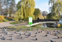 W Katowicach pojawią się „kaczkomaty”. „Obecnie trwają negocjacje z wykonawcą”