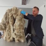 Po wyroku sądu i decyzji ministra futro z zagrożonego gatunku wilka trafiło do Izby Administracji Skarbowej w Katowicach