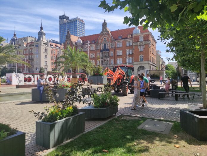 Montaż ogrodu kieszonkowego_fot. KAW