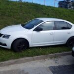 Straż Miejska w Katowicach w tydzień przeprowadziła 700 interwencji. Większość w związku z łamiącymi przepisy kierowcami