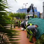 Katowice prawie jak Winterfell, wiadomo już, że do miasta nadchodzi zima