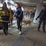 Mayday w Katowicach. Policja zatrzymywała ludzi z narkotykami