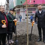 Drzewa wracają na ulicę Stawową. Więcej zieleni, kosztem betonu