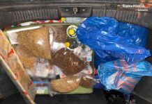 Lewy towar w Brynowie. Zaczęło się od kontroli samochodu 72-latka