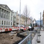 Pierwsze drzewa pojawiły się na zazielenianej ulicy Warszawskiej. Będzie ich w sumie 70