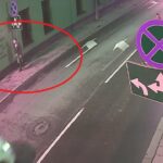 Mężczyzna w Katowicach ukradł…drzewo. Szuka go teraz policja