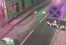 Mężczyzna w Katowicach ukradł…drzewo. Szuka go teraz policja