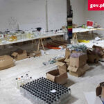 Duże uderzenie w nielegalne e-papierosy na Śląsku. Funkcjonariusze zamówili płyn online