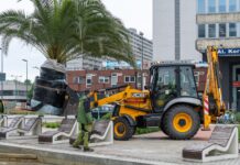 Nad sztuczną Rawę wróciły palmy. Znowu egzotyka wróciła do Katowic