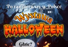 Konkurs: Ostatnie dni wystawy Halloweenowej w Gliwicach! – Kto chce bilety?