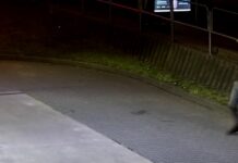 Po kradzieży na stacji paliw w Katowicach, policja szuka mężczyzny