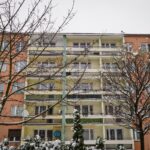 Mieszkańcy Katowic zgłaszają sporo wniosków o wycinkę drzew do miasta. Nawet kilkanaście tygodniowo