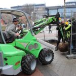 7 kasztanowców pojawiło się na ulicy Stawowej. Chcieli ich mieszkańcy