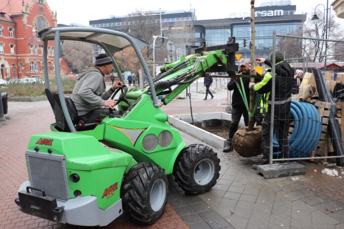 Sadzenie drzew na Stawowej fot. KAW