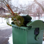 Miasto apeluje o niewyrzucanie choinek wraz z ozdobami. Co zrobić z drzewkiem?