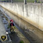 Służby łowiły w Rawie. To nie pierwszy taki przypadek