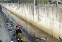 Służby łowiły w Rawie. To nie pierwszy taki przypadek