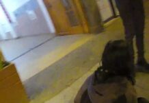 Ekspedientka goniła złodziejkę po centrum Katowic. Do pościgu dołączyli strażnicy miejscy