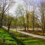 Trwa warta 13 mln zł modernizacja Parku Wełnowieckiego. Jest już na ukończeniu