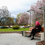 Zielony Budżet zmienia Katowice! Dzięki pomysłom mieszkańców powstała już m.in. Lawendowa Czytelnia