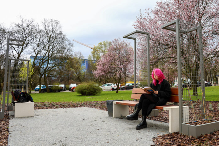 lawendowaczytelnia_kkalkowski