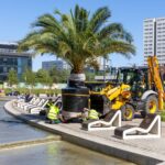 Palmy wróciły na Rynek w Katowicach. Wszystkie mają imiona