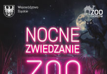 Będzie nocne zwiedzanie w Śląskim Ogrodzie Zoologicznym w Chorzowie