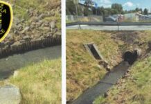 Ścieki z bloku trafiały do rzeki Mleczna w Katowicach