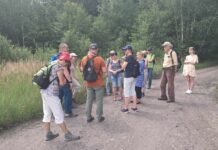 Rawa nieodkryta (wygumkowana) – czyli spacer z nieoczekiwanym zakończeniem grupka około 10 osób na ścieżce, w tle zarośla, a za nimi las