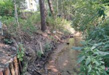 Mieszkańcy wspólnie posprzątali tereny wzdłuż brzegów Ślepiotki w środku rzeka Ślepiotka, po prawej stronie drzewa, a po lewej krzaki