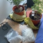 Po nitce do kłębka. Katowiccy policjanci weszli do domu, przejęli narkotyki i zatrzymali dwie osoby