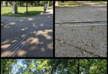 Uszkodzone prowadnice dla niewidomych w Parku Boguckim są bezużyteczne i niebezpieczne. Zostaną naprawione