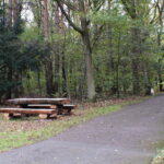 Nowe ławostoły i rewitalizacja skwerów – miasto inwestuje w zieloną infrastrukturę