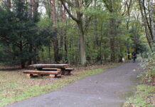 Nowe ławostoły i rewitalizacja skwerów – miasto inwestuje w zieloną infrastrukturę