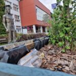 Katowicka policja szuka sprawców pobicia na ul. Bankowej. Pijani nastolatkowie najpierw pytali: „za kim jesteś?”