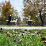 Nowa atrakcja w Burowcu – przy ul. Konnej w Katowicach powstał ogród sensoryczny