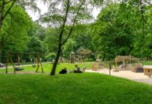 Park Kościuszki: Ruszyły nasadzenia drzew, ma być jeszcze bardziej zielono