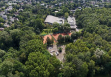 Park Zadole: Skatepark bez wycinki drzew i z nową ścieżką zdrowia