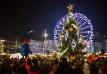 Katowice w świątecznej odsłonie. Choinka rozbłysła w centrum