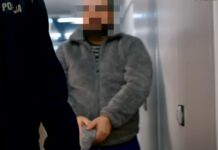 Ofiary straciły ponad 12,5 mln zł. Lider grupy oszustów zatrzymany